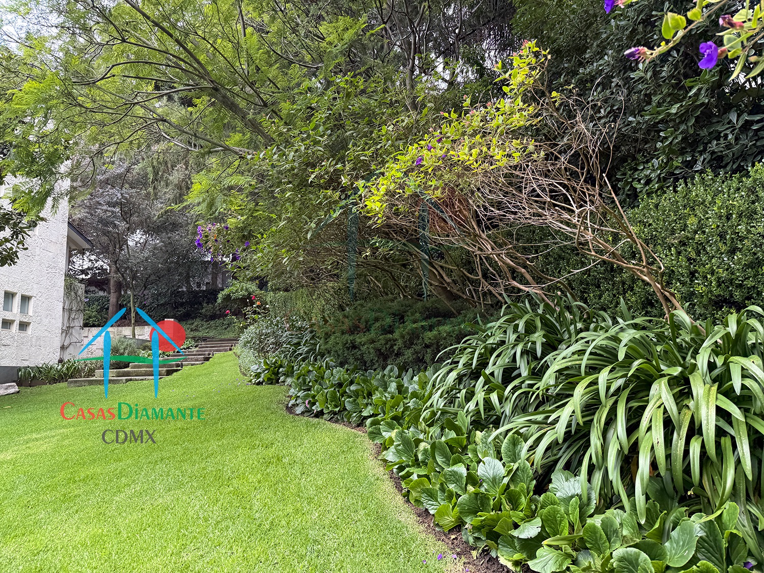 Rancho San Francisco Casa Encino - Jardín 11